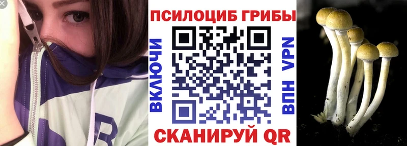кракен рабочий сайт Палласовка Псилоцибиновые грибы ЛСД даркнет сайт
